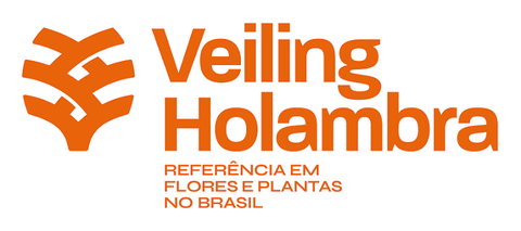 Veiling Holambra